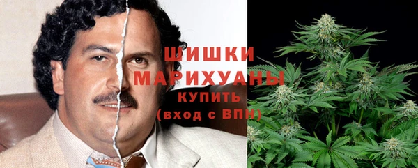 дурь Арсеньев