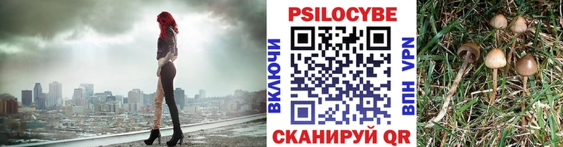 площадка официальный сайт  Суворов  Псилоцибиновые грибы Magic Shrooms  купить  сайты 